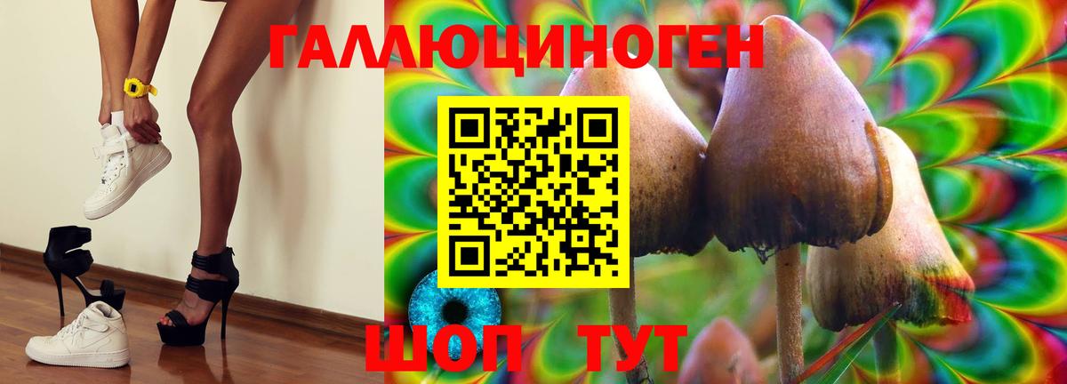 купить закладку  Вход с VPN  Галлюциногенные грибы мицелий  Златоуст  Псилоцибиновые грибы GOLDEN TEACHER 